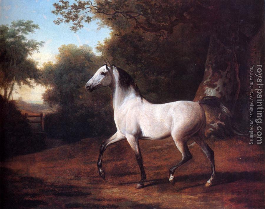 Jacques-Laurent Agasse : A Grey Arab Stallion In A Wooded Landscape